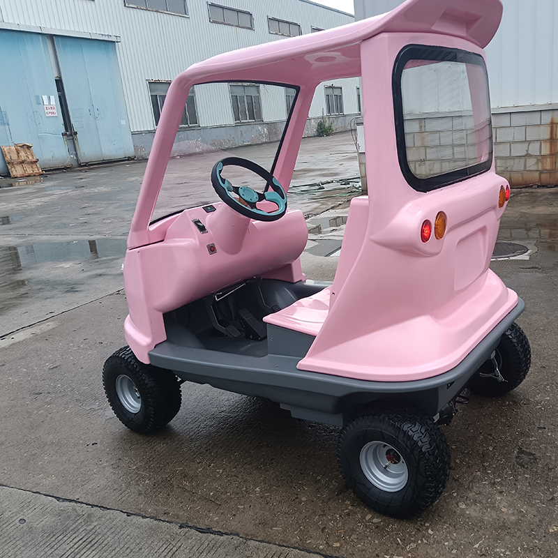 Sightseeing Electric Vehicle