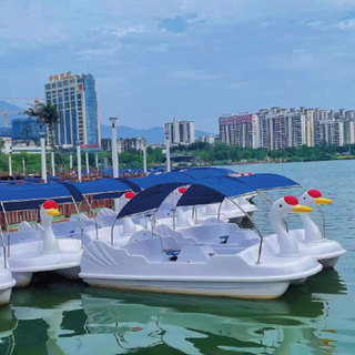 Electric Pedal Boat
