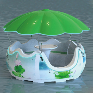 Recreational Barbecue Boat
