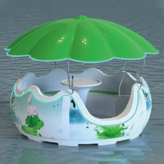 Recreational Barbecue Boat