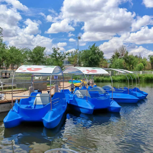 Flying Fish Leisure Boat