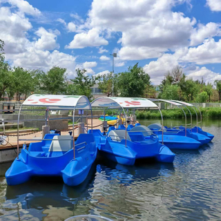 Flying Fish Leisure Boat