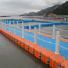 Pontoon Wave Float
