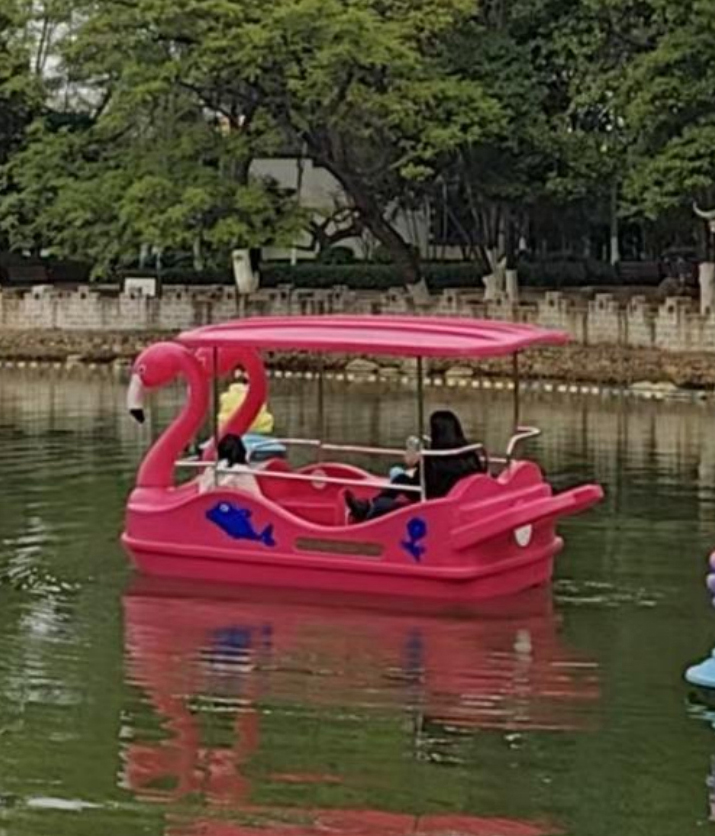 Flamingo Pedal Boat