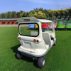 Four-Seater Electric Vehicle