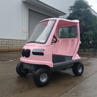Sightseeing Electric Vehicle