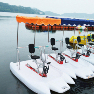 Dolphin Water Bicycle