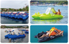 Flying Fish Leisure Boat