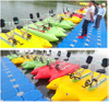 Double Rider Dolphin Water Bike