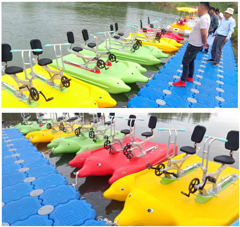 Double Rider Dolphin Water Bike