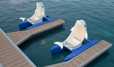 Moonlight Dolphin Electric Boat