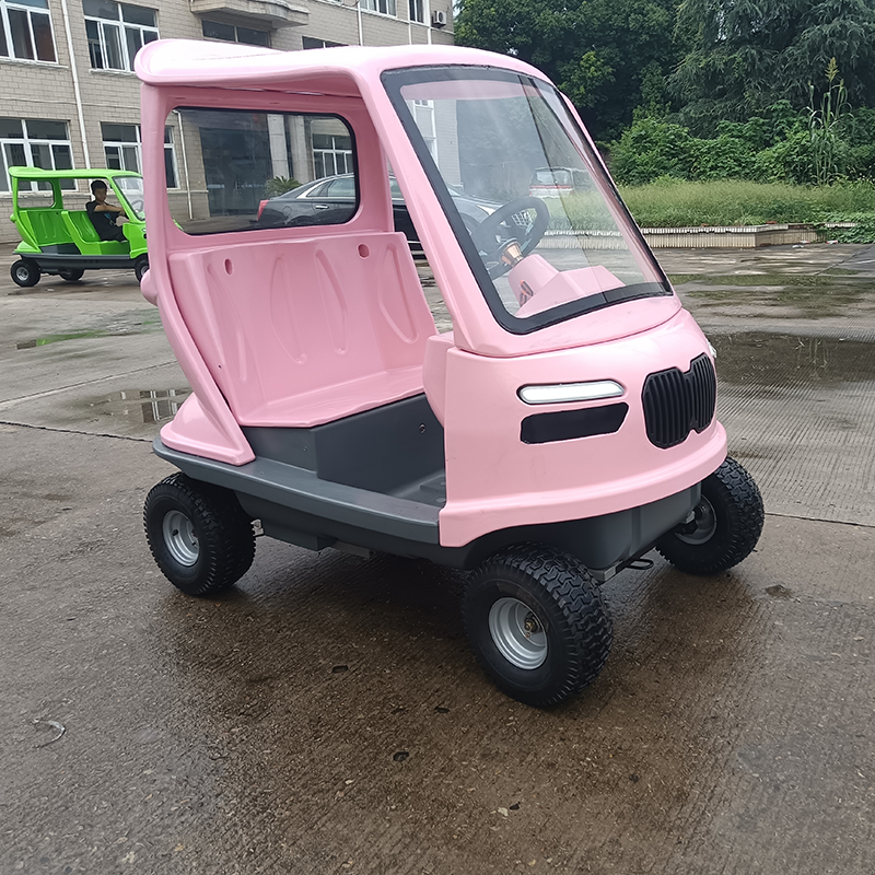 Sightseeing Electric Vehicle
