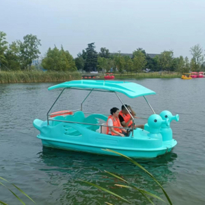 7 Seat Bubble Dragon Electric Boat