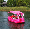 7 Seat Flamingo Electric Boat