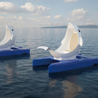 Moonlight Dolphin Electric Boat