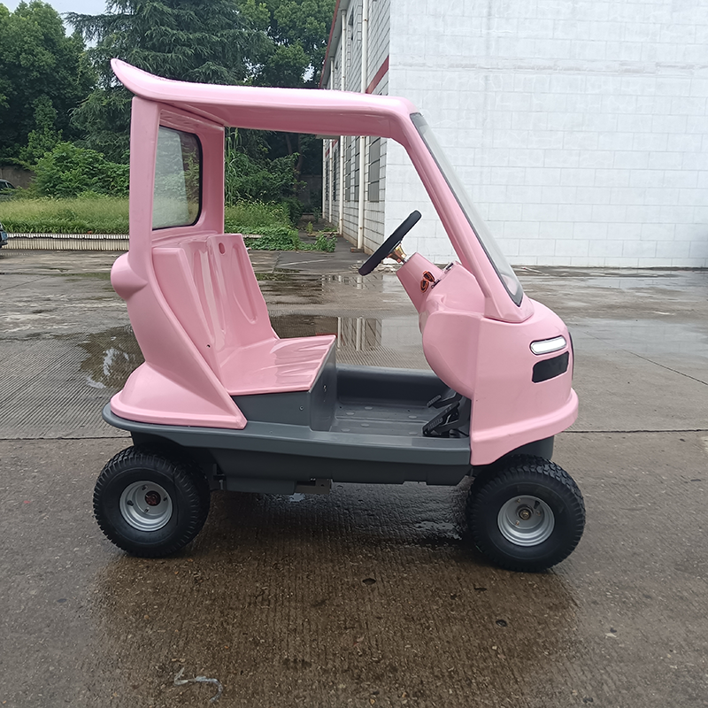 Sightseeing Electric Vehicle