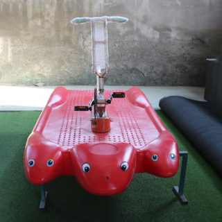 Solo Dolphin Water Bike