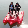 Double Rider Dolphin Water Bike