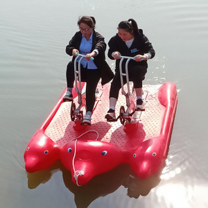 Double Rider Dolphin Water Bike
