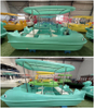 5 Seat Dolphin Electric Boat