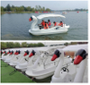7 Seat Swan Electric Boat