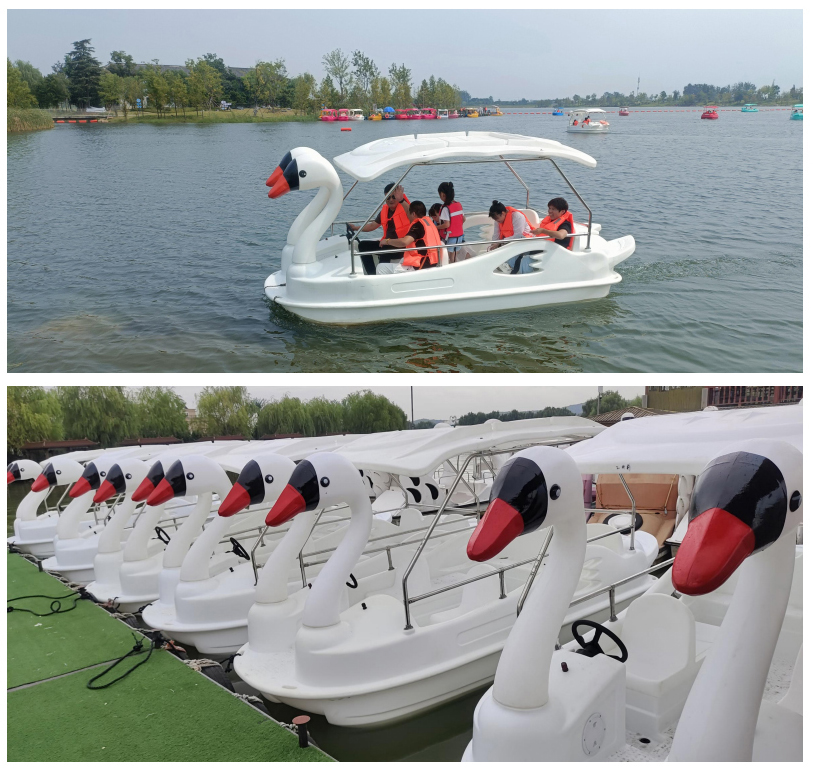 7 Seat Swan Electric Boat