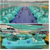 5 Seat Mandarin Duck Electric Boat